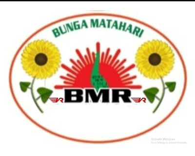 Trademark BMR + LOGO