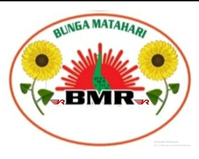 Trademark BMR + LOGO