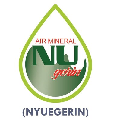 Trademark Air Mineral NU gerin (NYUEGERIN)