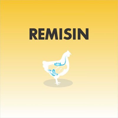 Trademark REMISIN