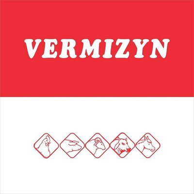 Trademark VERMIZYN