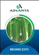 Trademark ADVANTA BEIJING 23 F1