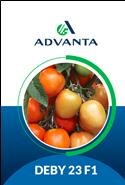 Trademark ADVANTA DEBY 23 F1