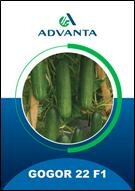 Trademark ADVANTA GOGOR 22 F1