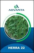 Trademark ADVANTA HERRA 22