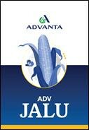 Trademark ADVANTA ADV JALU