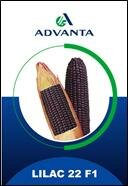 Trademark ADVANTA LILAC 22 F1