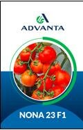 Trademark ADVANTA NONA 23 F1