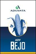 Trademark ADVANTA ADV BEJO