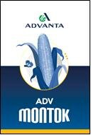 Trademark ADVANTA ADV MONTOK