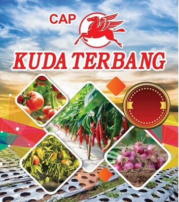 Trademark CAP KUDA TERBANG DAN LOGO