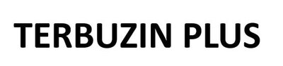 Trademark TERBUZIN PLUS