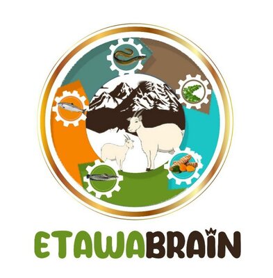 Trademark ETAWABRAIN