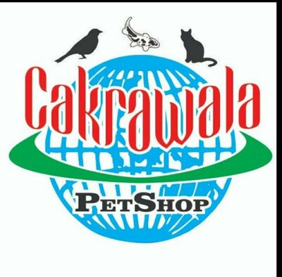 Trademark Cakrawala PetShop