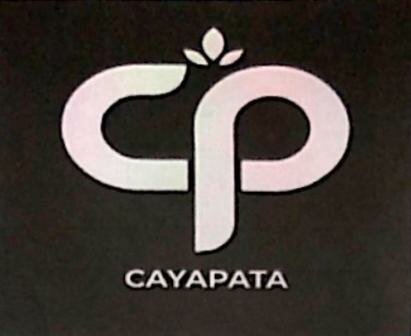 Trademark CAYAPATA + Lukisan/ Logo