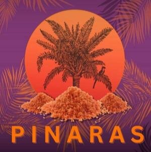 Trademark PINARAS