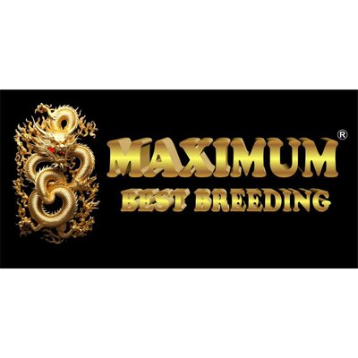 Trademark MAXIMUM BEST BREEDING + Lukisan