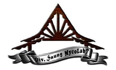 Trademark Div. Saung MycoLab7 + Logo