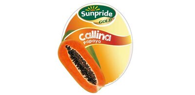 Trademark SUNPRIDE GOLD Callina Papaya dan Lukisan