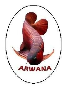 Trademark ARWANA