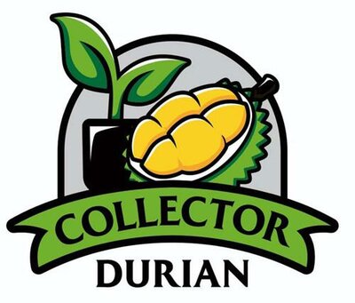 Trademark COLLECTOR DURIAN + LUKISAN