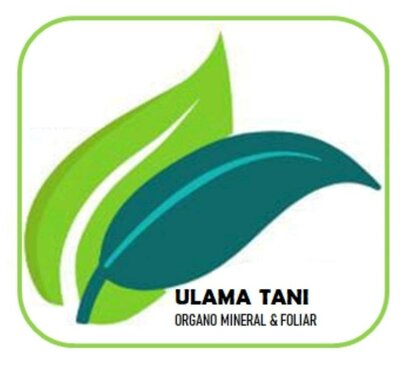 Trademark ULAMA TANI