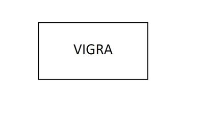 Trademark VIGRA