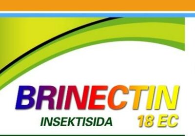 Trademark BRINECTIN