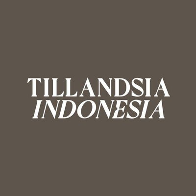 Trademark Tillandsia Indonesia