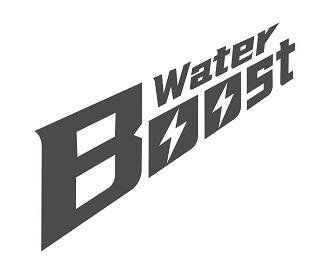 Trademark Boost Water