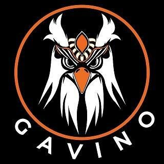 Trademark GAVINO + LOGO