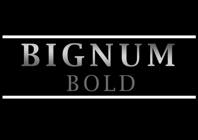 Trademark BIGNUM BOLD