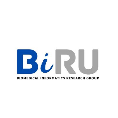 Trademark Biomedical Informatics Research Group (BiRU)