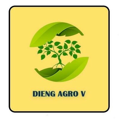 Trademark DIENG AGRO V