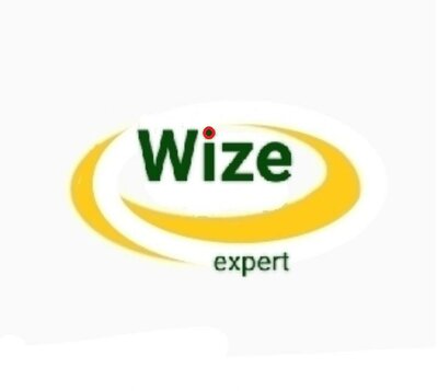 Trademark WIZE EXPERT