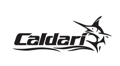 Trademark CALDARI + LOGO