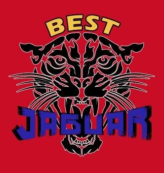 Trademark BEST JAGUAR + LOGO