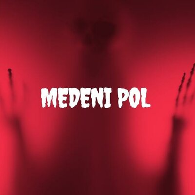 Trademark MEDENI POL