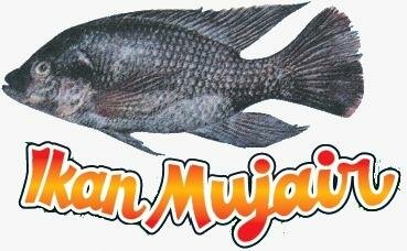 Trademark Ikan Mujair