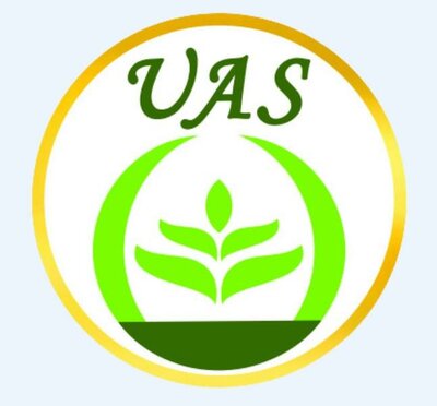 Trademark UAS + Lukisan