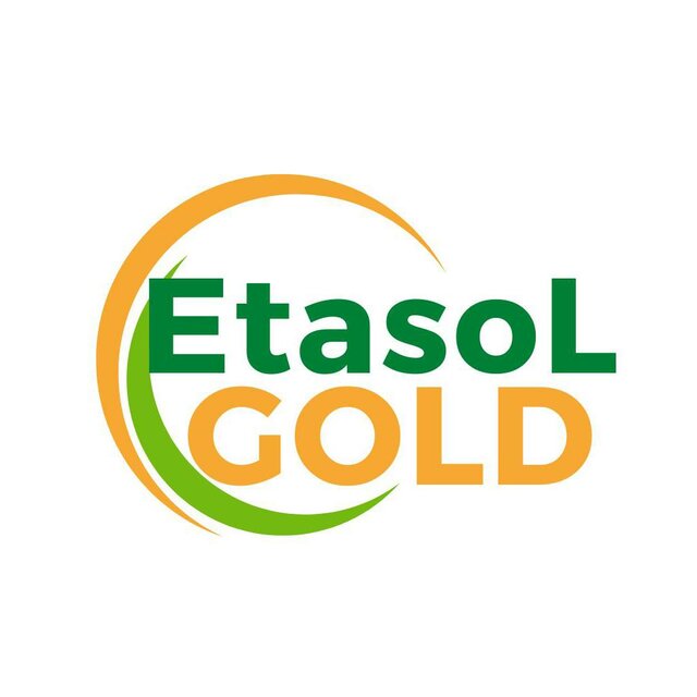 Trademark EtasolGold