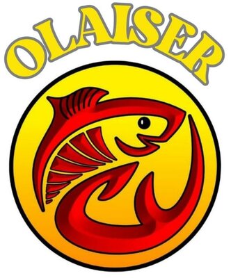 Trademark OLAISER