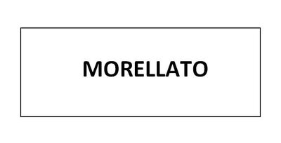 Trademark MORELLATO