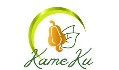 Trademark KAMEKU