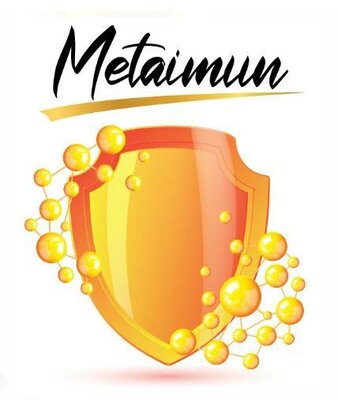 Trademark METAIMUN + logo