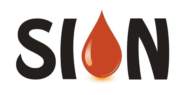 Trademark SION DAN LOGO