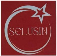 Trademark SELUSIN DAN LUKISAN