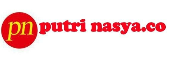 Trademark putri nasya.co + logo