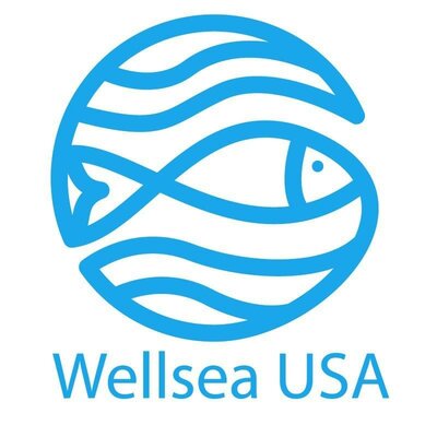 Trademark WELLSEA USA