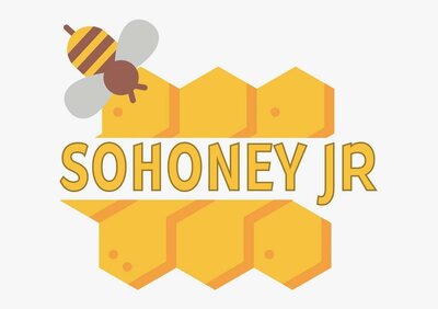 Trademark SOHONEY JR